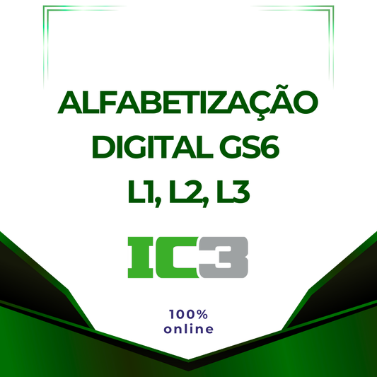 Curso de IC3 GS6 L1, L2, L3